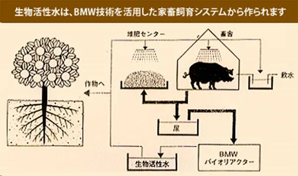 生物活性水は、BMW技術を活用した家畜飼育システムから作られます