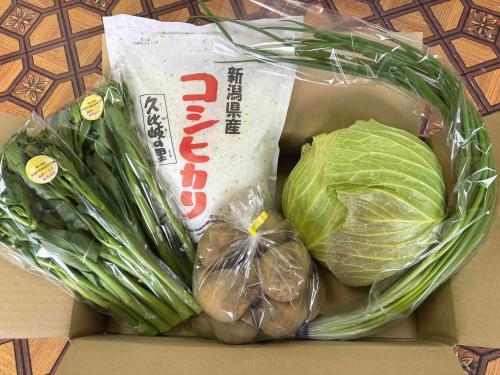 新潟季節野菜宅配便 お手軽な野菜1月コース